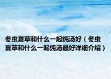 冬虫夏草和什么一起炖汤好（冬虫夏草和什么一起炖汤最好详细介绍）