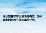 净水器的芯怎么清洗最有效（净水器的内芯怎么清洗详细介绍）