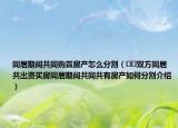 同居期间共同购置房产怎么分割（﻿﻿双方同居共出资买房同居期间共同共有房产如何分割介绍）