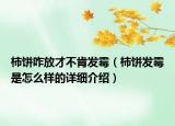 柿饼咋放才不肯发霉（柿饼发霉是怎么样的详细介绍）