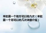 羊肚菌一个地方可以捡几次（羊肚菌一个月可以吃几次详细介绍）