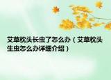 艾草枕头长虫了怎么办（艾草枕头生虫怎么办详细介绍）