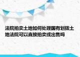 法院拍卖土地如何处理国有划拨土地法院可以直接拍卖或出售吗