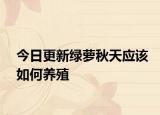 今日更新绿萝秋天应该如何养殖