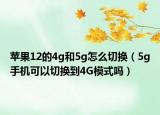 苹果12的4g和5g怎么切换（5g手机可以切换到4G模式吗）