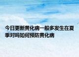 今日更新黄化病一般多发生在夏季对吗如何预防黄化病