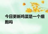 今日更新鸡蛋是一个细胞吗