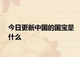 今日更新中国的国宝是什么
