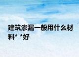 建筑渗漏一般用什么材料* *好
