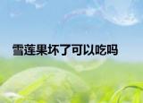 雪莲果坏了可以吃吗