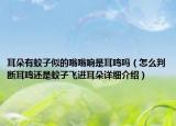 耳朵有蚊子似的嗡嗡响是耳鸣吗（怎么判断耳鸣还是蚊子飞进耳朵详细介绍）