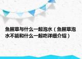 鱼腥草与什么一起泡水（鱼腥草泡水不能和什么一起吃详细介绍）
