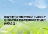 国有土地出让操作程序规定（﻿﻿国有土地出让程序步骤流程有哪些?该怎么操作的呢?介绍）