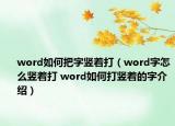 word如何把字竖着打（word字怎么竖着打 word如何打竖着的字介绍）