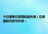 今日更新石菖蒲的副作用（石菖蒲的功效与作用）