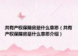 共有产权保障房是什么意思（共有产权保障房是什么意思介绍）