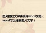 图片提取文字转换成word文档（word怎么提取图片文字）