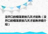 没开口的榴莲要放几天才能熟（没开口的榴莲要放几天才能熟详细介绍）