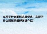 车厘子什么时候吃最便宜（车厘子什么时候吃最好详细介绍）