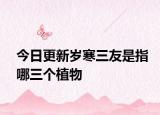 今日更新岁寒三友是指哪三个植物