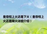 皇帝柑上火还是下火（皇帝柑上火还是降火详细介绍）