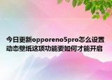 今日更新opporeno5pro怎么设置动态壁纸这项功能要如何才能开启