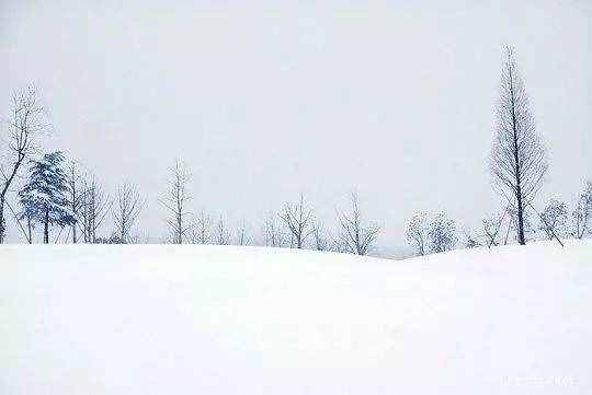 艾青：雪落在中国的土地上