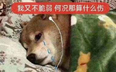 网抑云夜来非语录文案经典台词 今天网抑云夜来非时间提前