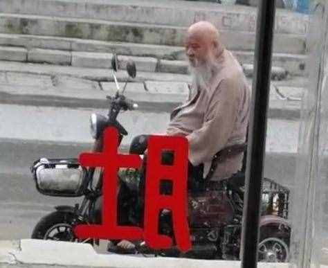 64岁李琦太真实！骑小三轮买菜，挺着大肚子在街头数钱