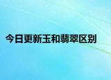 今日更新玉和翡翠区别
