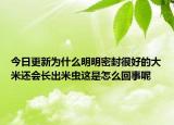 今日更新为什么明明密封很好的大米还会长出米虫这是怎么回事呢