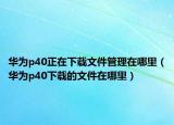 华为p40正在下载文件管理在哪里（华为p40下载的文件在哪里）
