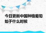 今日更新中国种植葡萄始于什么时候