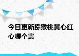 今日更新猕猴桃黄心红心哪个贵