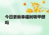 今日更新幸福树吸甲醛吗