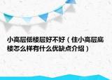 小高层低楼层好不好（住小高层底楼怎么样有什么优缺点介绍）