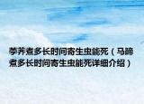 荸荠煮多长时间寄生虫能死（马蹄煮多长时间寄生虫能死详细介绍）