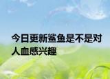 今日更新鲨鱼是不是对人血感兴趣