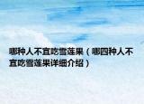 哪种人不宜吃雪莲果（哪四种人不宜吃雪莲果详细介绍）