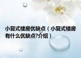 小复式楼房优缺点（小复式楼房有什么优缺点?介绍）