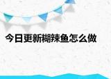 今日更新糊辣鱼怎么做