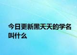 今日更新黑天天的学名叫什么