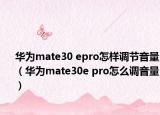 华为mate30 epro怎样调节音量（华为mate30e pro怎么调音量）