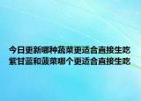 今日更新哪种蔬菜更适合直接生吃紫甘蓝和菠菜哪个更适合直接生吃