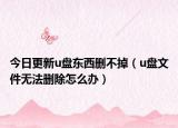 今日更新u盘东西删不掉（u盘文件无法删除怎么办）
