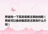 想咨询一下买房需要注意的问题（有谁可以告诉我买房注意些什么介绍）
