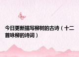 今日更新描写柳树的古诗（十二首咏柳的诗词）