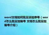 word文档如何批量添加序号（word怎么批量加编号 文档怎么批量加编号介绍）