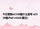 今日更新a1538是什么型号 a1538是iPad mini4(图文)