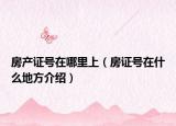房产证号在哪里上（房证号在什么地方介绍）